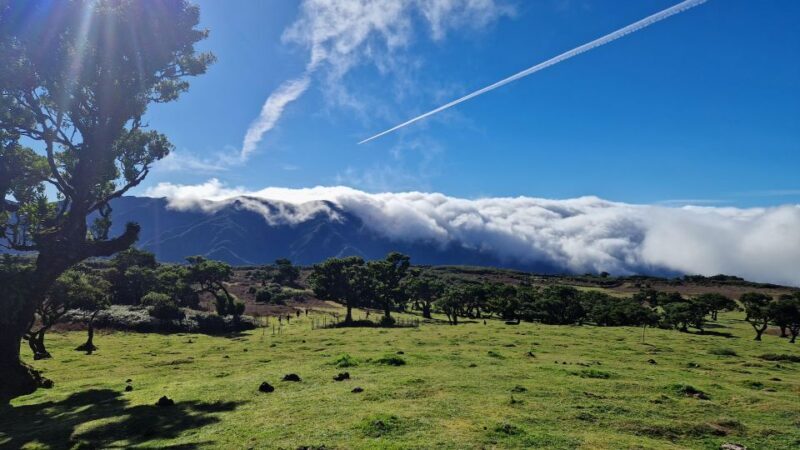 NorthWest's 50 shades of green, rock pools & waterfalls Tour - FAQs