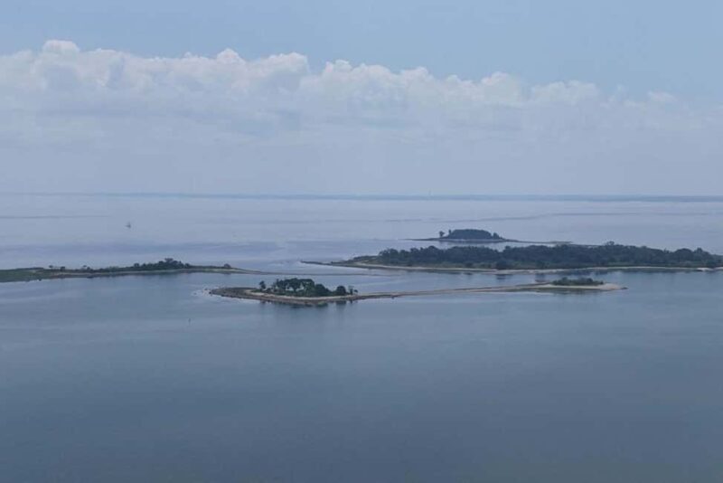 Norwalk: Paddleboard Rental at Calf Pasture Beach - The Experience: What to Expect