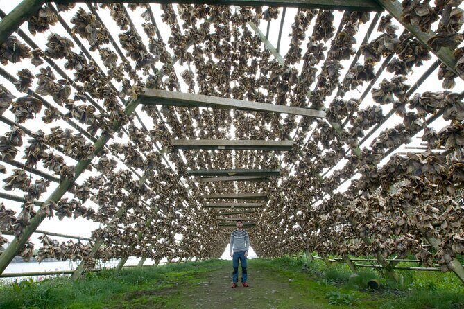 Norway Lofoten Private Shore Excursion from Leknes - Final Thoughts