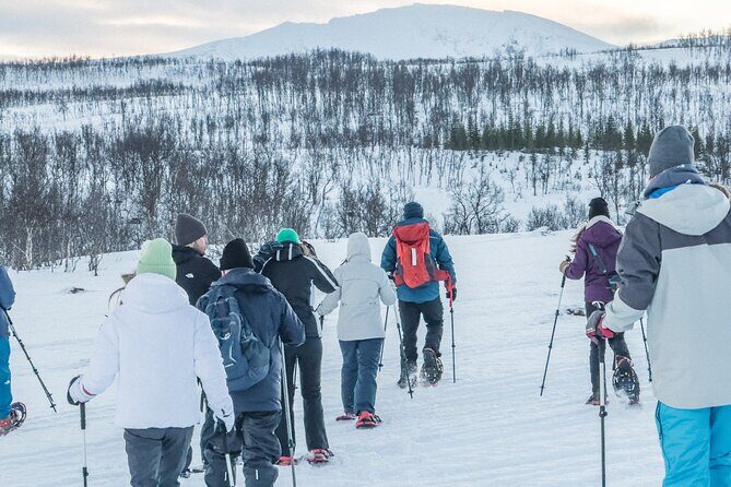 Norway Troms Snowshoe Activity with Guided Tour - The Sum Up