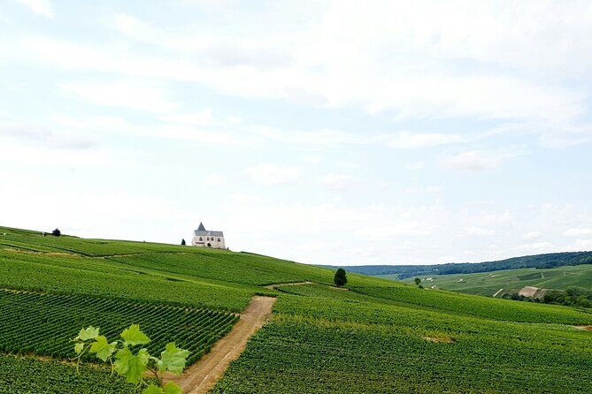 Not Your Average Champagne Tour - Day Trip From Paris (Private) - The Value of the Experience
