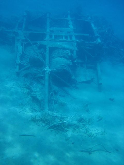 Notos half-day cruise - Who Would Love This Tour?