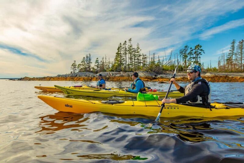 Nova Scotia: Guided Half-Day LaHave Islands Sea Kayak Tour - Key Points