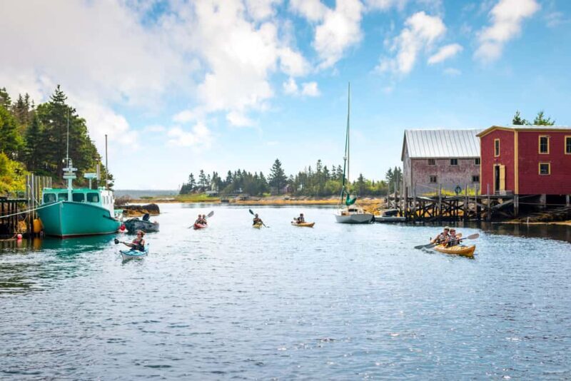 Nova Scotia: Guided Half-Day LaHave Islands Sea Kayak Tour - What Is the LaHave Islands Sea Kayak Tour All About?