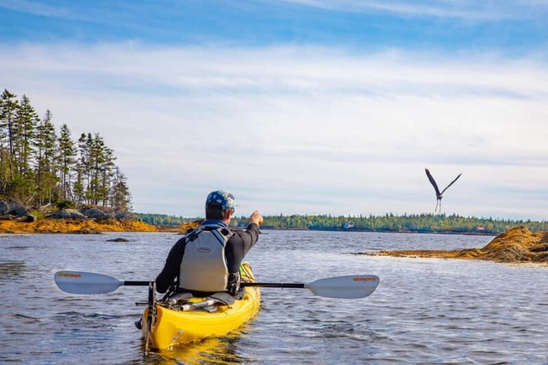 Nova Scotia: Guided Half-Day LaHave Islands Sea Kayak Tour - The Practical Details