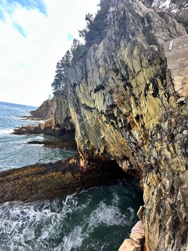 Nova Scotia Highlights: Full-Day Private Tour from Halifax - Getting the Most Out of Your Day