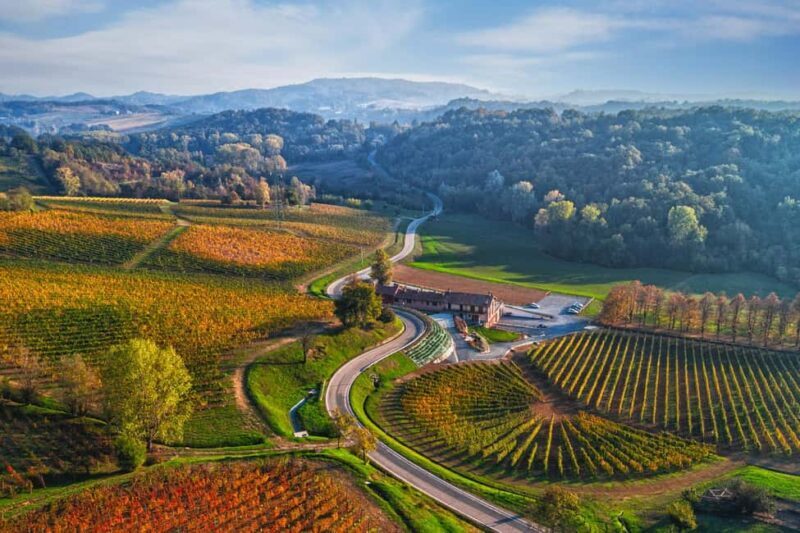 Novi Ligure: Guided tour of the winery with wine and chocolate tasting - Key Points