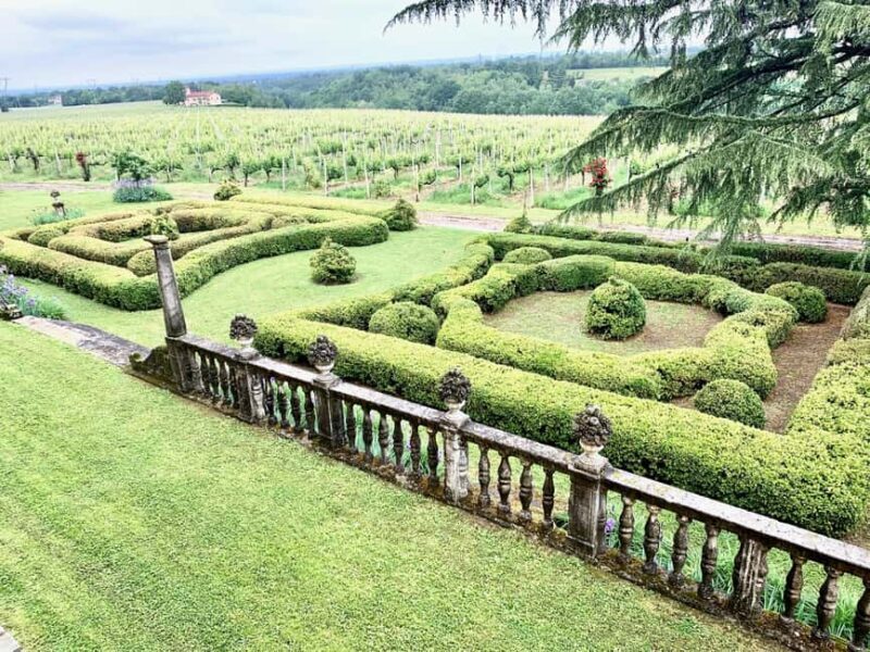 Novi Ligure: Vineyard Estate Tour & Lake Walk with Tasting - Setting the Stage: The Estate and Its View