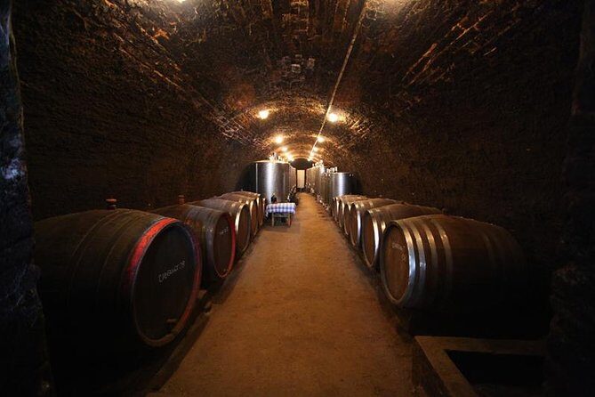 Novi Sad and Sremski Karlovci private tour with wine tasting - A Day in Serbia’s Heartland: An In-Depth Look