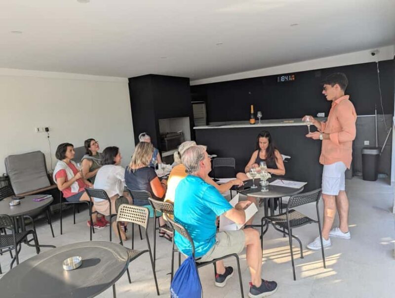 Novi Sad: Fruka Gora Wine Tasting with Local Bites - Key Points