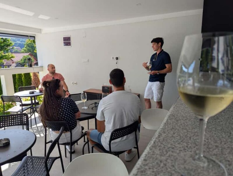 Novi Sad: Fruka Gora Wine Tasting with Local Bites - Setting the Scene: What You Can Expect