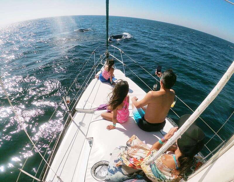 Nuevo Vallarta: Whale Watching by Sailboat Tour - Who Is This Tour Best For?
