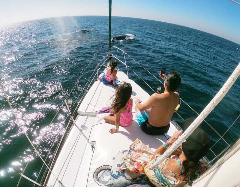 Nuevo Vallarta: Whale Watching by Sailboat Tour - FAQs