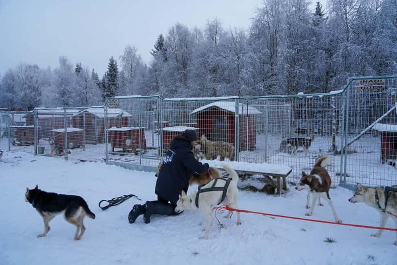 Nulkki Husky Adventure - What Is the Nulkki Husky Adventure?