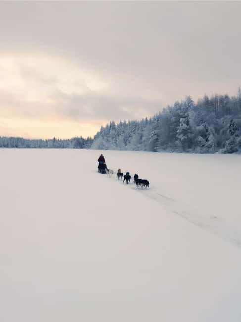 Nulkki Husky Adventure - The Value of the Experience