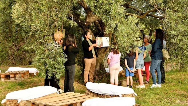 Nuoro: Visit an oil mill with oil tasting - Who Should Consider This Tour?