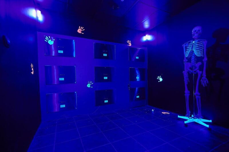 Nürnberg: Secret Surgery Escape Room Game - Whats Included and Whats Not