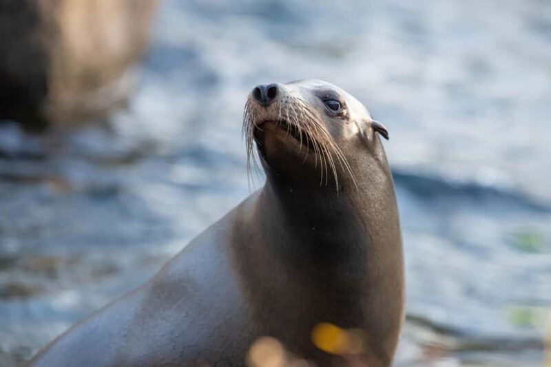 NYC: Bronx Zoo Entry Ticket - Final Thoughts