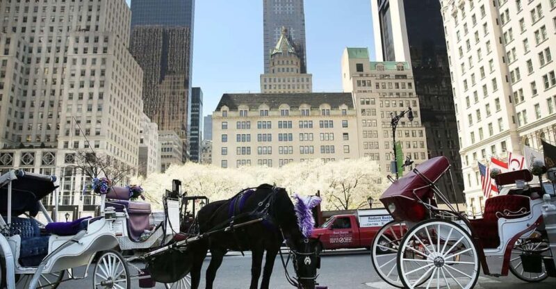 NYC: Central Park Christmas Lights Horse-Drawn Carriage Ride - Key Points