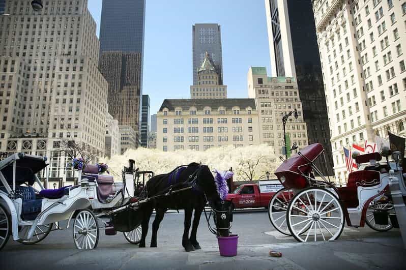 NYC: Central Park Christmas Lights Horse-Drawn Carriage Ride - What to Expect from the Tour
