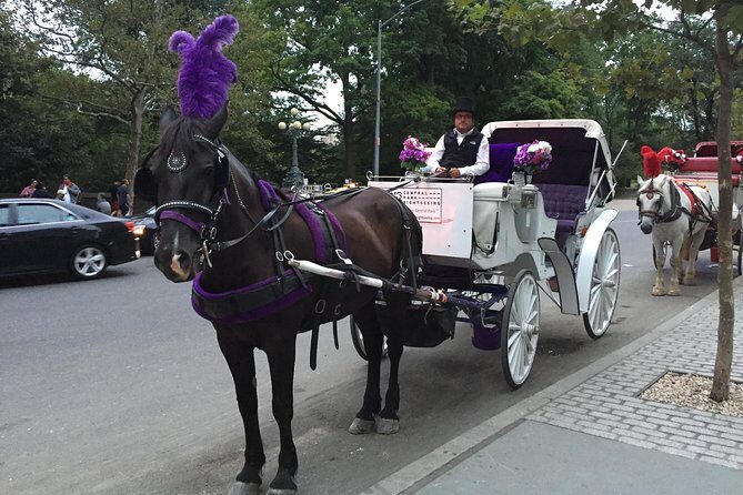 NYC Central Park Horse and Carriage Ride: Long Ride 45 min - Who Should Consider This Tour?