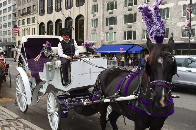 NYC Central Park Horse and Carriage Ride: Long Ride 45 min - Final thoughts