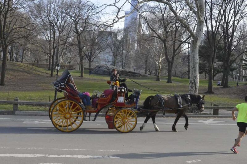 NYC: Central Park Horse-Drawn Carriage Ride - Central Park Horse-Drawn Carriage Ride: An Honest Look