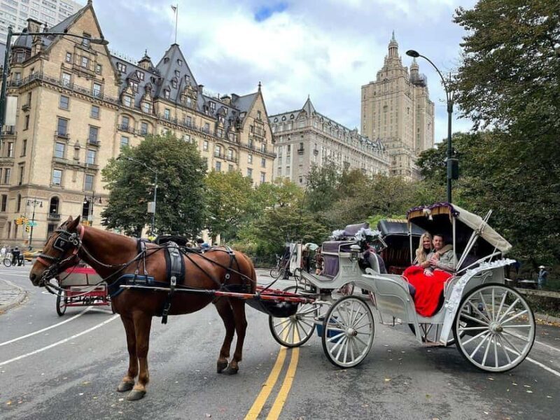 NYC: Central Park Horse-Drawn Carriage Ride - Final Thoughts