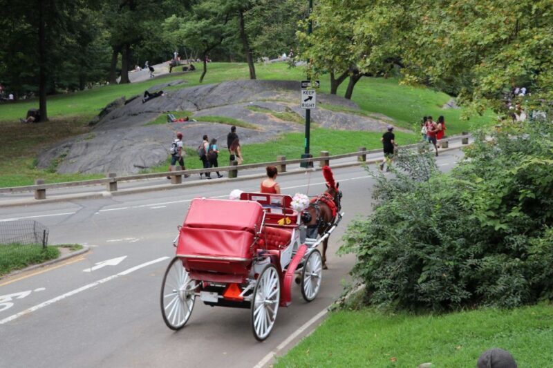 NYC: Central Park Horse-Drawn Carriage Ride (up to 4 Adults) - Who Is This Tour Best For?