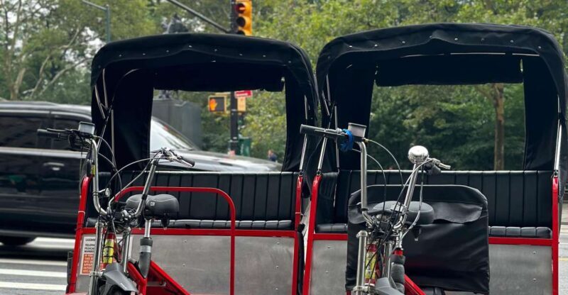 NYC Central Park Pedicab Tours - Authentic Perspectives