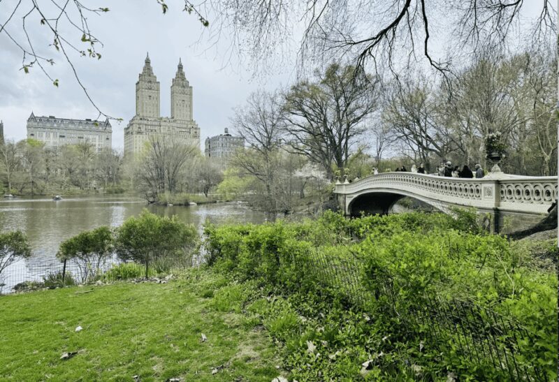 NYC: Central Park Rickshaw Tour / Private and Guided - Things to Keep in Mind