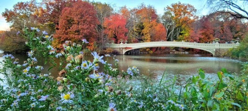 NYC: Central Park Secrets and Highlights Walking Tour - FAQs