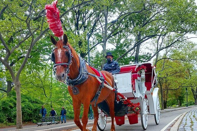 NYC Central Park VIP Horse and Carriage Ride - What to Expect from the Central Park Horse and Carriage Ride