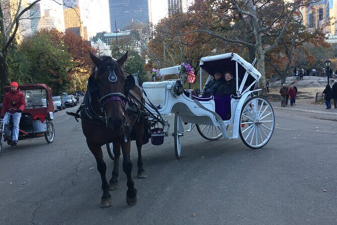 NYC Central Park VIP Horse and Carriage Ride - Practical Details & Considerations