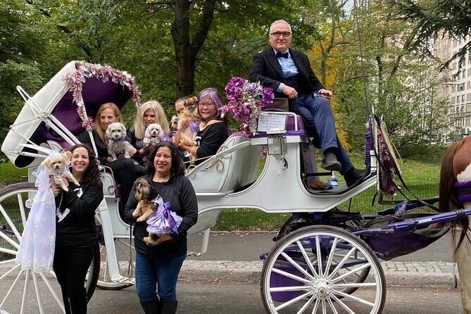 NYC Central Park VIP Horse and Carriage Ride - FAQs