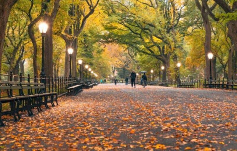 NYC: Central Park Zoo & Central Park Guided Walking Tour - Key Points