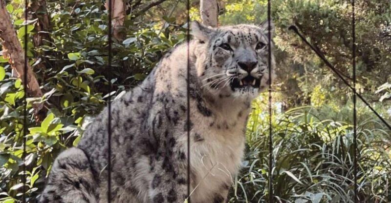 NYC: Central Park Zoo & Central Park Guided Walking Tour - Exploring Central Park with a Knowledgeable Guide