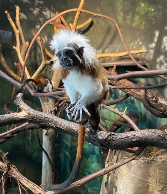 NYC: Central Park Zoo & Central Park Guided Walking Tour - Price and Value Consideration