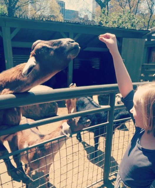 NYC: Central Park Zoo & Central Park Guided Walking Tour - FAQs