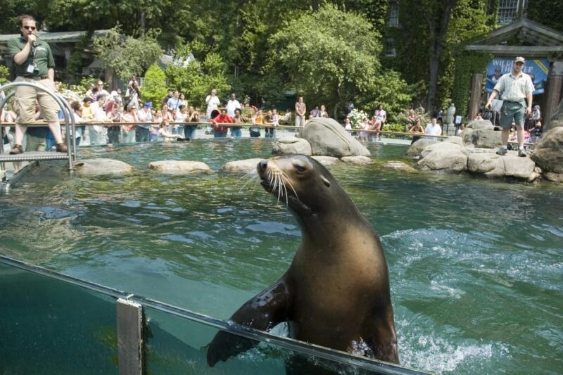 NYC: Central Park Zoo Entry Ticket & Manhattan Walking Tour - What the Reviews Say