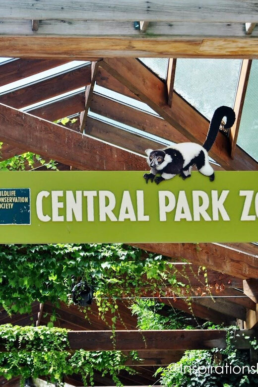 NYC: Central Park Zoo Entry Ticket & Manhattan Walking Tour - Final Thoughts