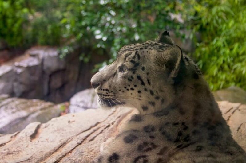 NYC: Central Park Zoo Entry Ticket & Manhattan Walking Tour - FAQ