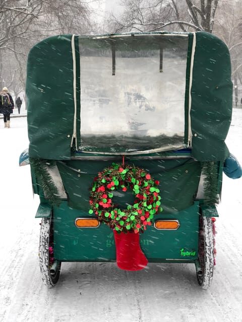 NYC: Elf & Home Alone 2 Locations Central Park Pedicab Tour - Final Thoughts