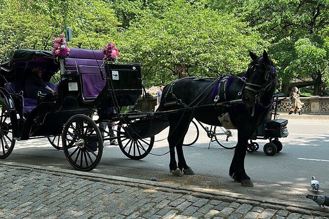 NYC Empire State Horses Carriage Ride in Central Park (45 Mins) - Key Points