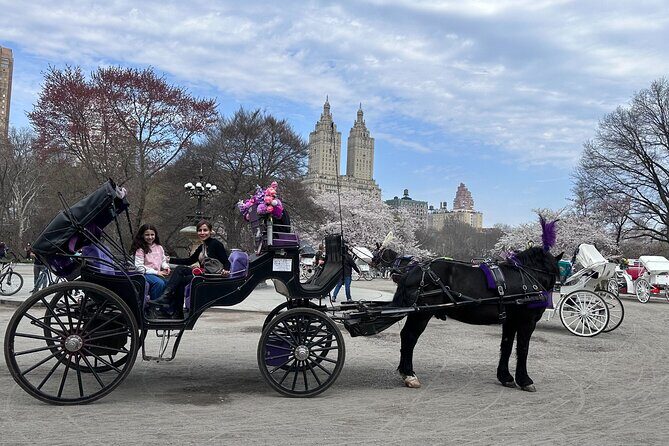 NYC Empire State Horses Carriage Ride in Central Park (45 Mins) - The Stops and Landmarks