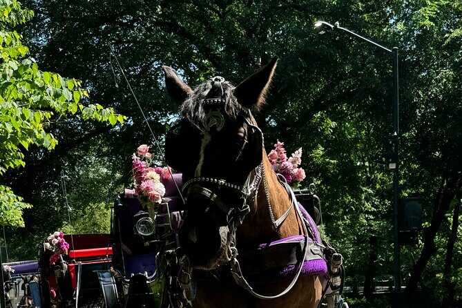 NYC Empire State Horses Carriage Ride in Central Park (45 Mins) - Practical Tips for Your Ride