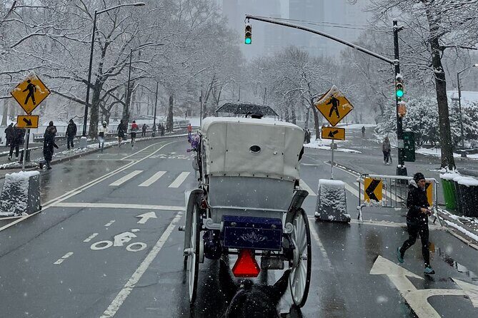 NYC Empire State Horses Carriage Ride in Central Park (45 Mins) - Who Is This Tour Best For?