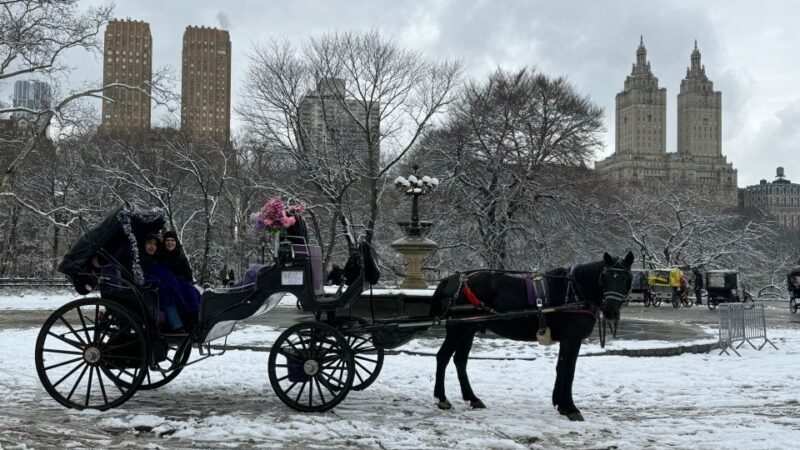NYC: Empire State Horses Carriage Ride in Central Park - What This Tour Offers