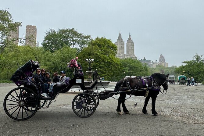 NYC Empire State Horses Carriage Ride in Central Park(55 Min) - What to Expect from the Carriage Ride Experience