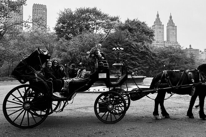 NYC Empire State Horses Carriage Ride in Central Park(55 Min) - Considering the Price: Is It Worth It?